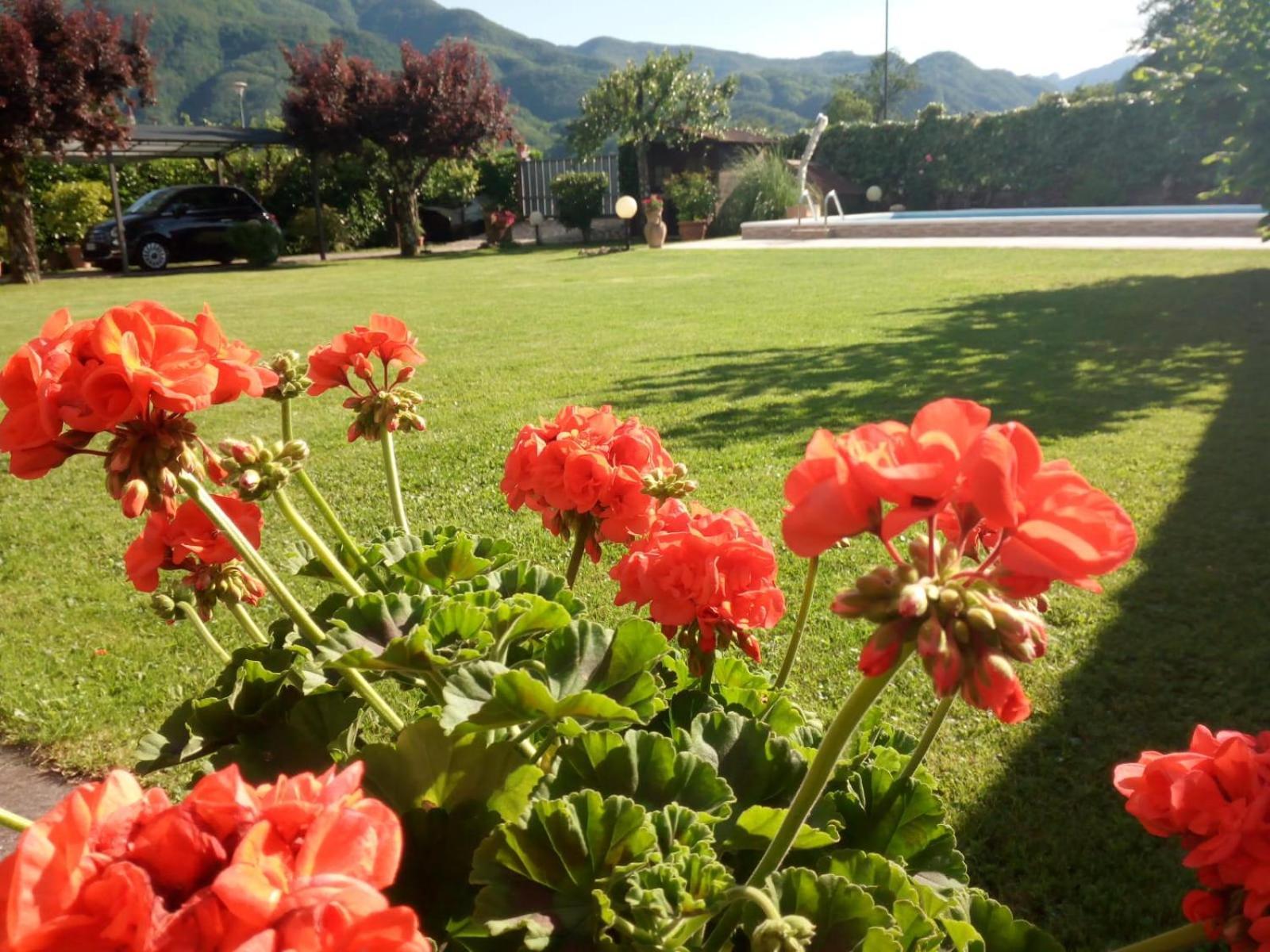 Le Sette Fontane Hotel Barga Kültér fotó